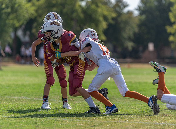 10U Longhorns vs. Bobcats-7