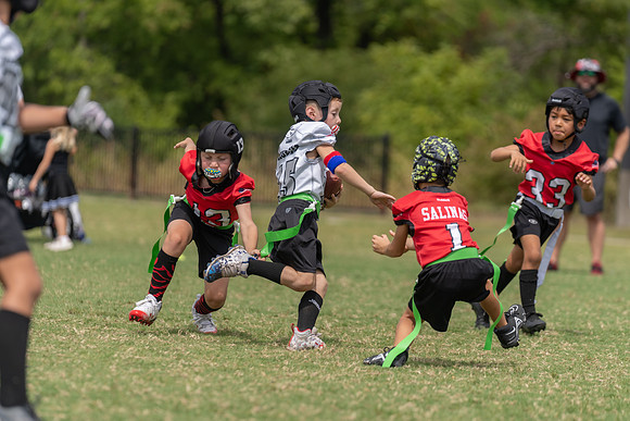6U Falcons vs. Raptors-6