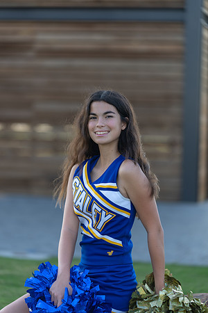SMS Cheer-88