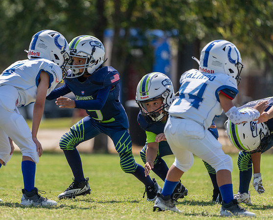 8U Seahawks-115