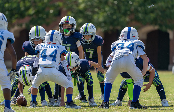 8U Seahawks-124