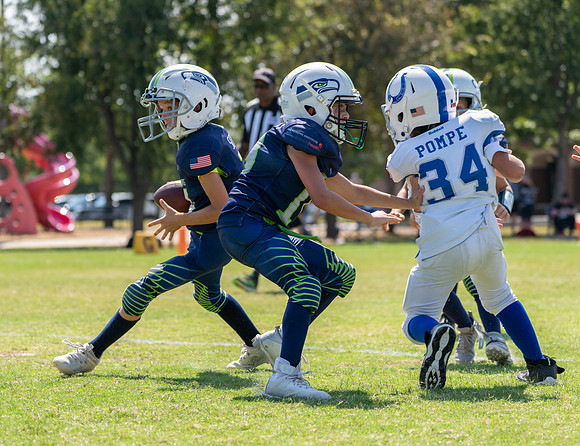 8U Seahawks-158
