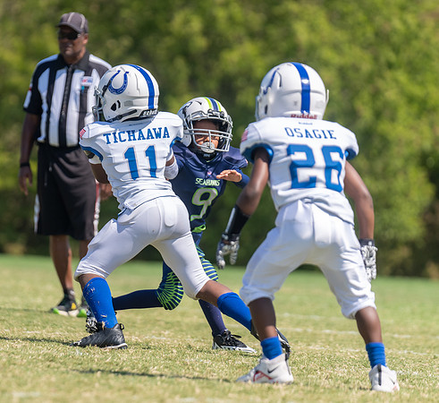 8U Seahawks-166