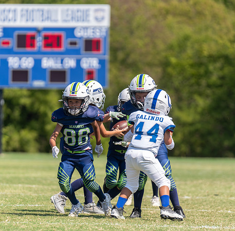 8U Seahawks-168