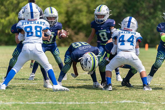 8U Seahawks-187