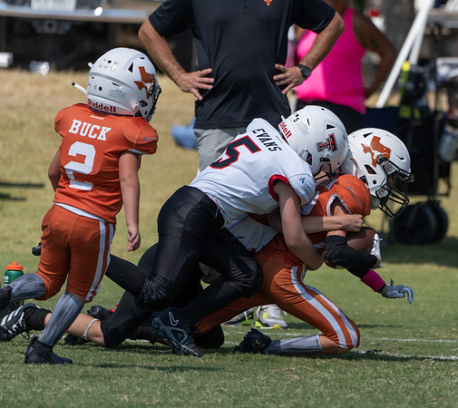 8U Red Raiders vs. Longhorns