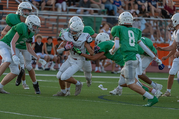 Vs. Griffin-14