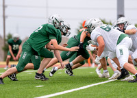 Spring Game-5