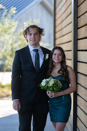 HOCO-15