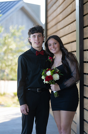 HOCO-20