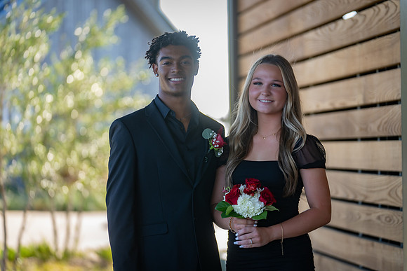 HOCO-29