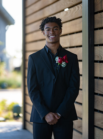 HOCO-31