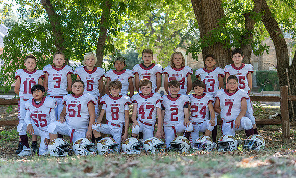 10U Bobcats-160