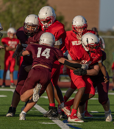 Vs. Wester-31