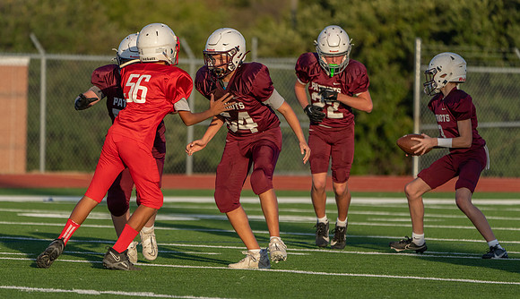 Vs. Wester-82