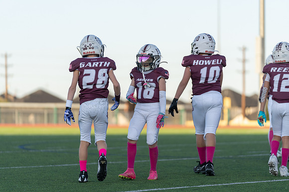 11-12U Vikings vs. Aggies-32