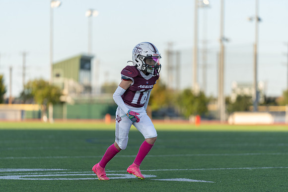 11-12U Vikings vs. Aggies-35