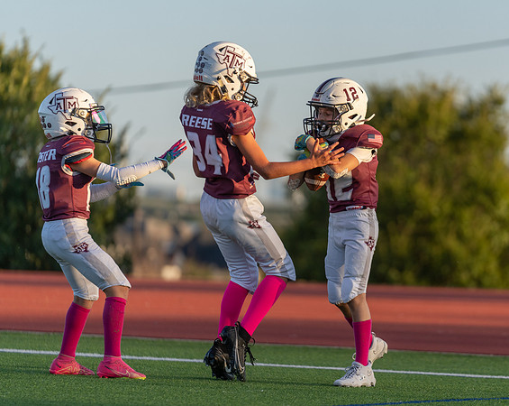 11-12U Vikings vs. Aggies-49