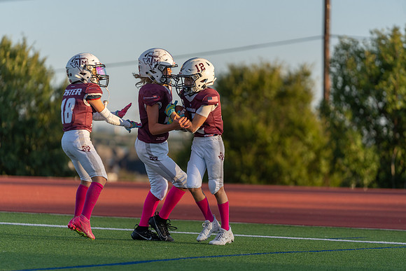 11-12U Vikings vs. Aggies-50
