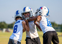 Cowboys-16