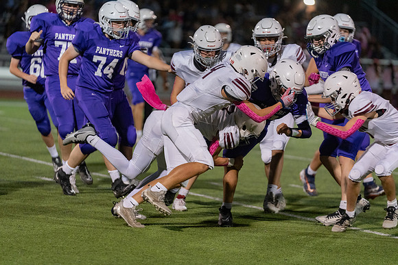 Vs. Pioneer-53