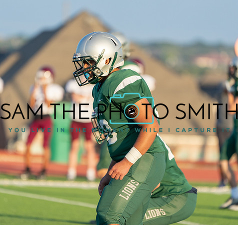 Vs. Sherman-110