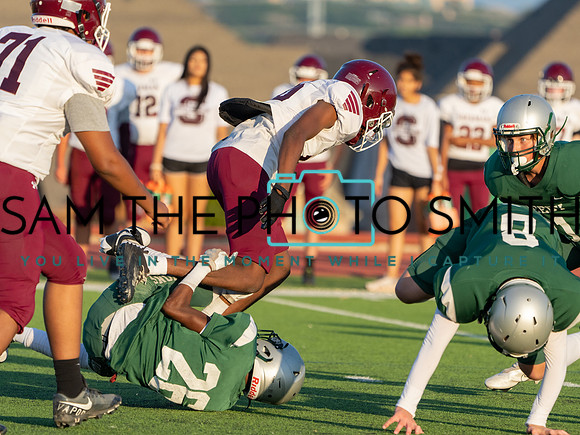 Vs. Sherman-113