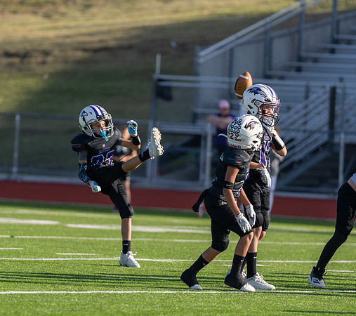 9U Ravens vs. Sun Devils-15
