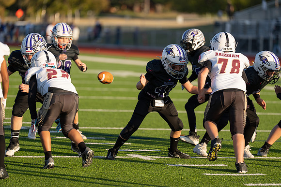 9U Ravens vs. Sun Devils-237
