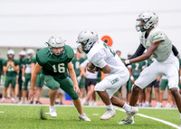 Spring Game-7
