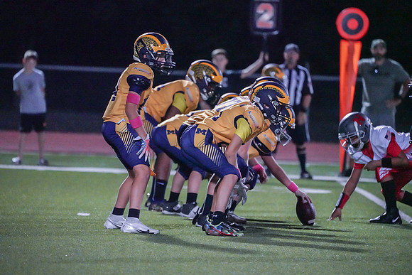 DSC07297 3