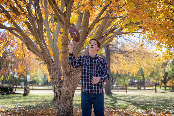 Geiser-73