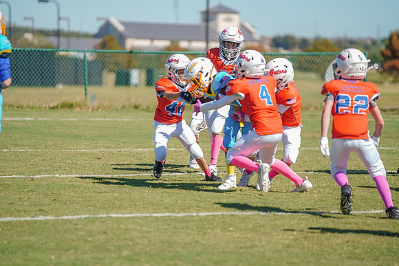 DSC07795 6