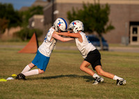 Cowboys-2