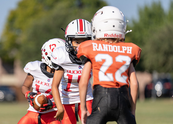 Buckeyes vs. Longhorns_-204