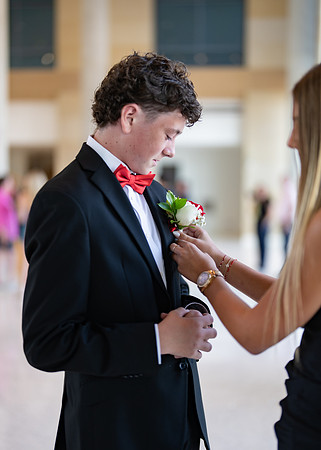 HOCO-11