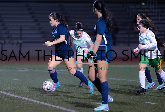 JV vs. Newman Smith-43