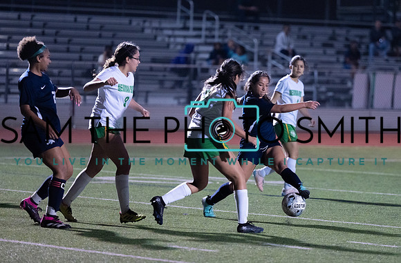 JV vs. Newman Smith-56