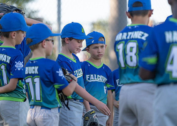 Falcons Action-141