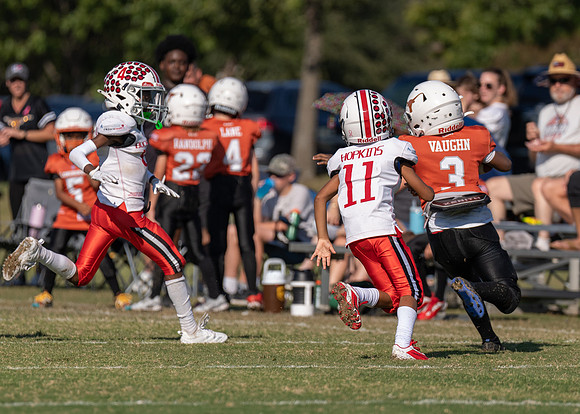 Buckeyes vs. Longhorns_-175