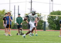 Spring Game-2