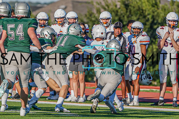 Vs. Wakeland_-88