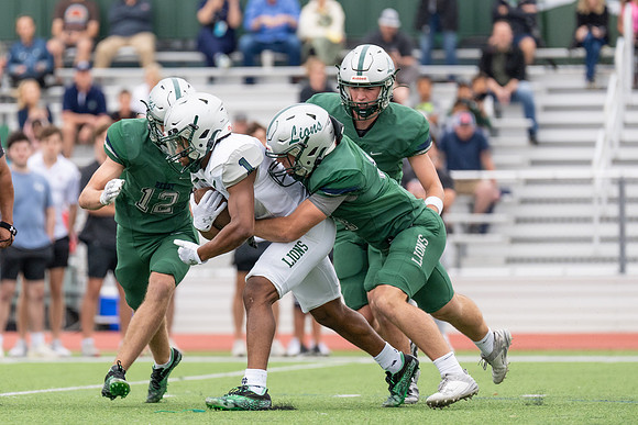 Spring Game-9