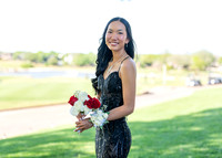 Prom-19