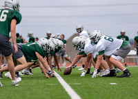 Reedy Spring Ball-89