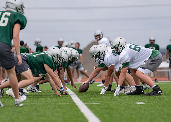 Reedy Spring Ball-89