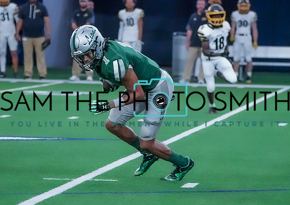 Vs. Denison-250