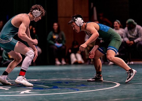 LT vs. Reedy-232