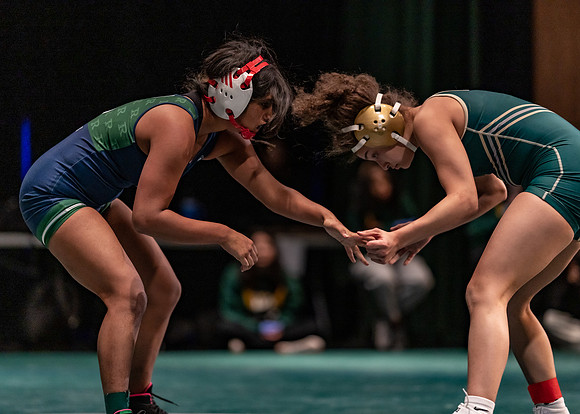 LT vs. Reedy-113