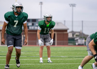 Reedy Spring Ball-12